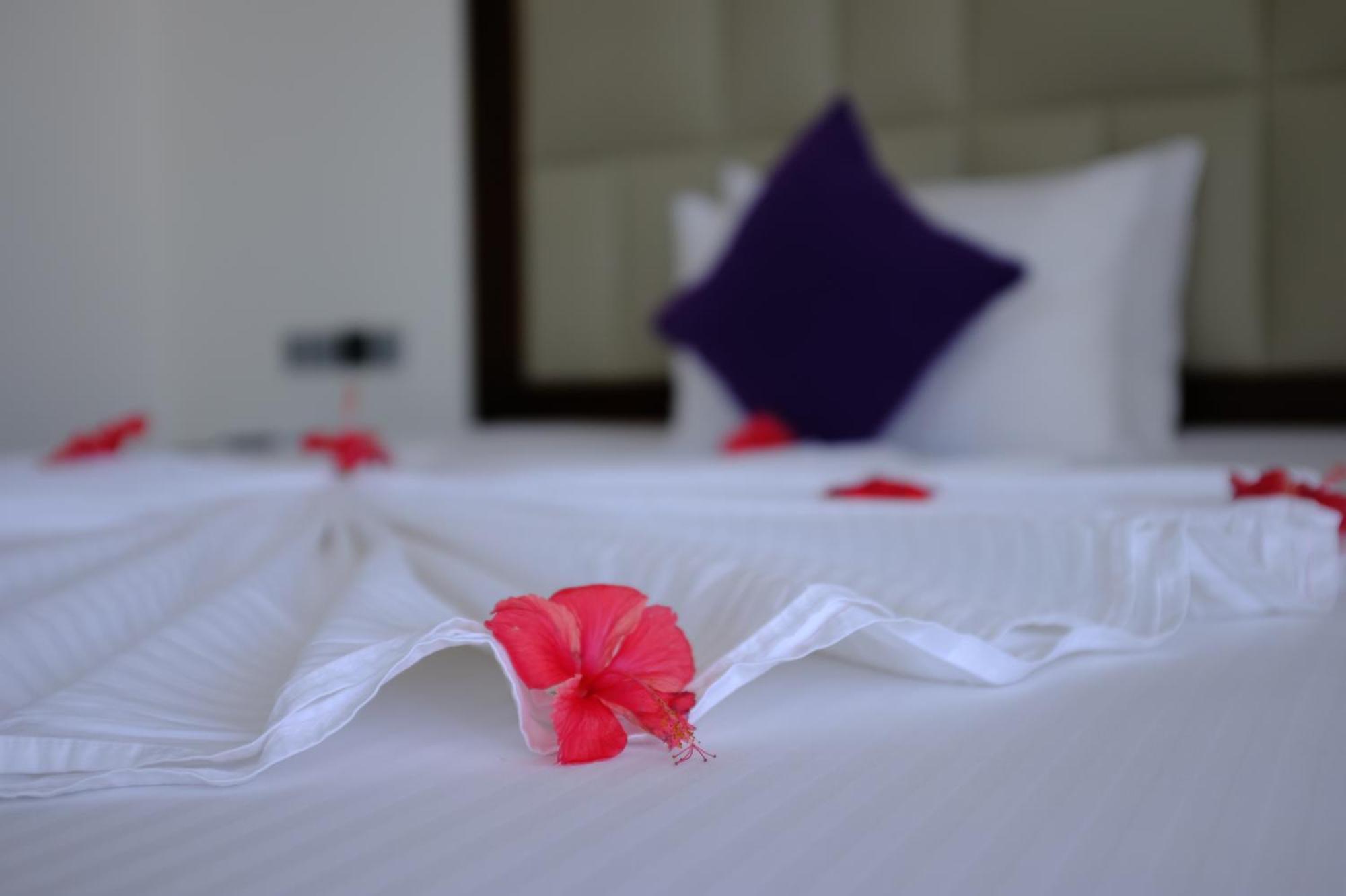 Mzion Hotel Weligama Bagian luar foto